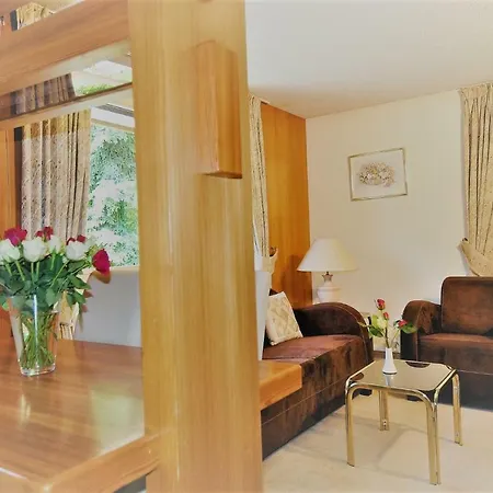Apartment Edelweiss B 222